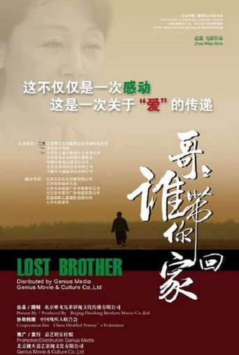 哥哥,谁带你回家海报