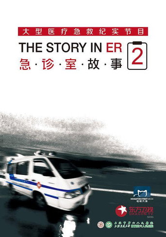 急诊室故事 第 2 季海报