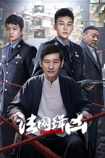 法网缉凶海报