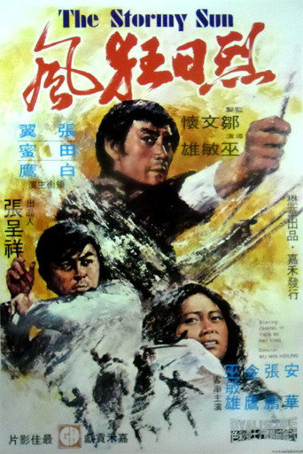 烈日狂风海报