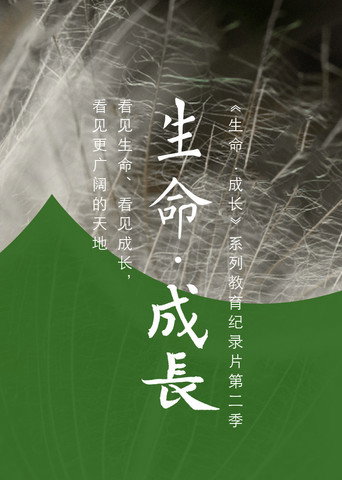 生命·成长 第 2 季海报
