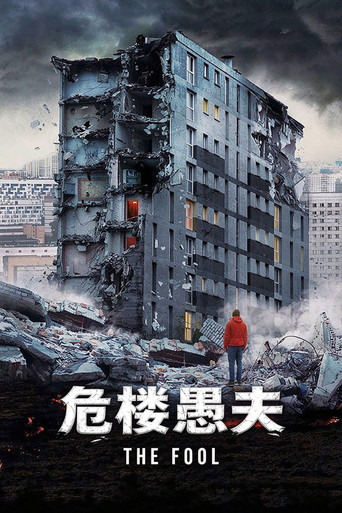 危楼愚夫海报