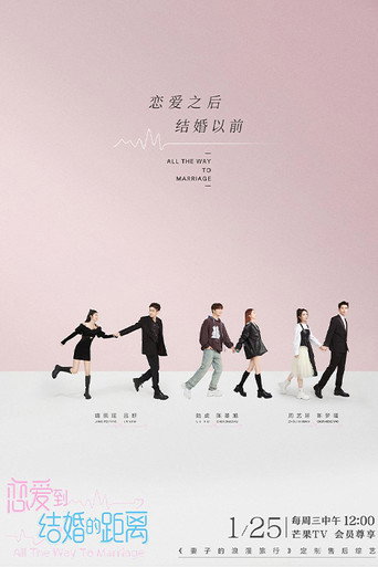 恋爱到结婚的距离海报