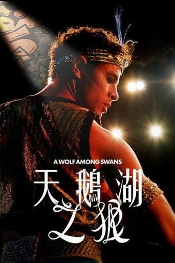 天鹅中的狼海报