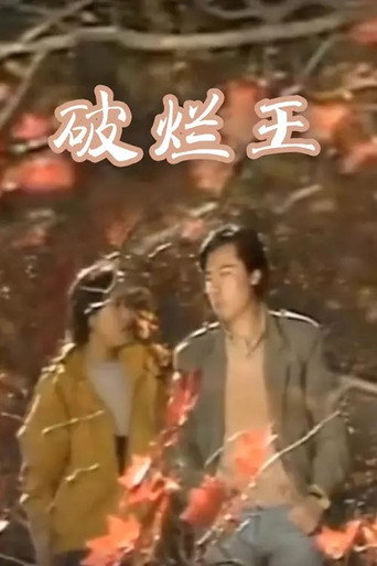 破烂王海报