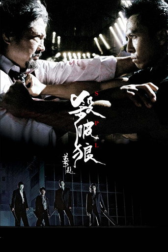 杀破狼海报