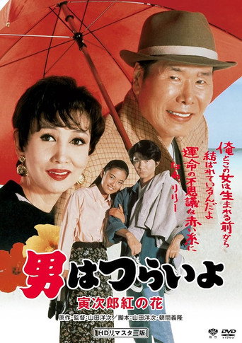 寅次郎的故事48：寅次郎红之花海报