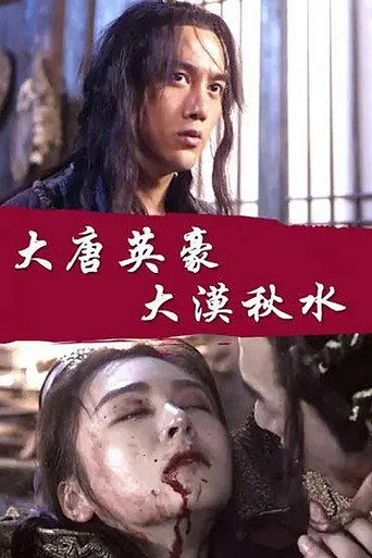 大唐英雄之大漠秋水海报