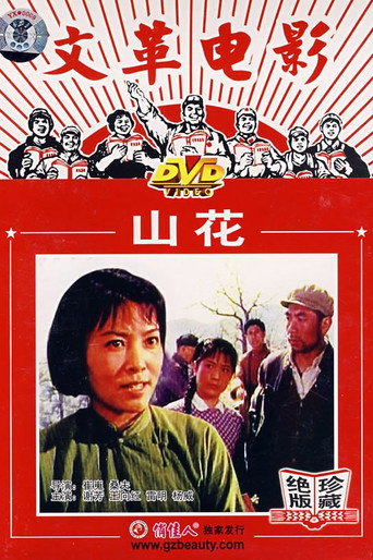 山花海报