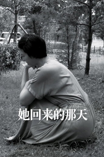 她回来的那天海报