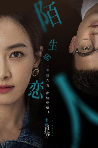 陌生的恋人海报