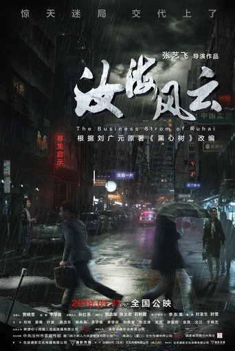 汝海风云海报