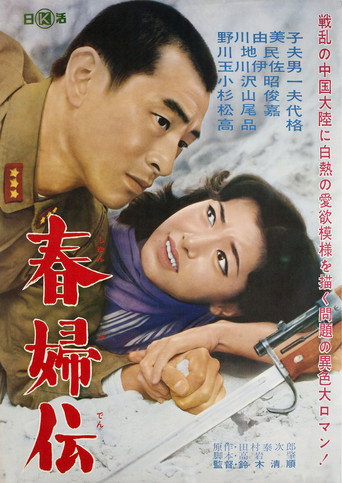 春妇传海报