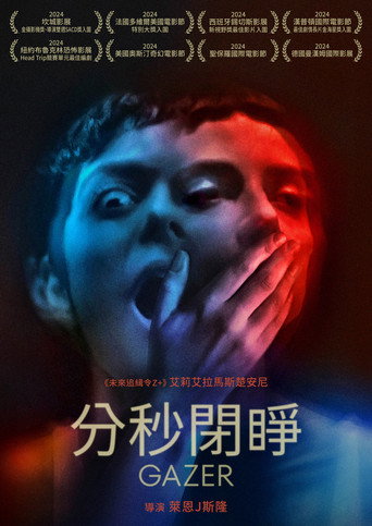 凝视者海报
