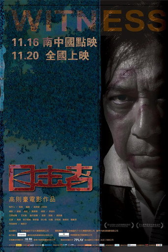目击者海报