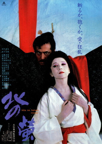 北之萤海报