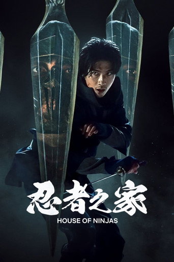 忍者之家海报