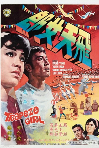 飞天女郎海报