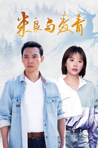 米良与麦青海报