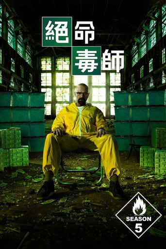 绝命毒师 第 5 季海报
