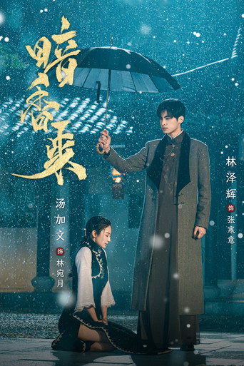 暗香来海报