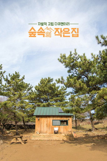 林中小屋海报