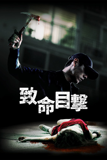 目击者海报