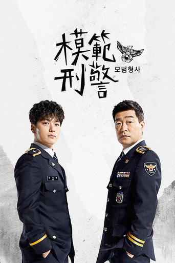 模范刑警海报