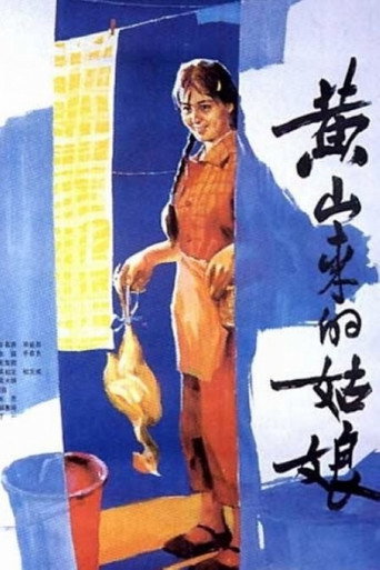 黄山来的姑娘海报