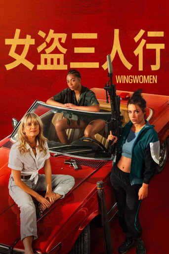 女盗三人行海报
