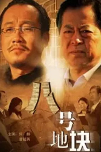八号地块海报