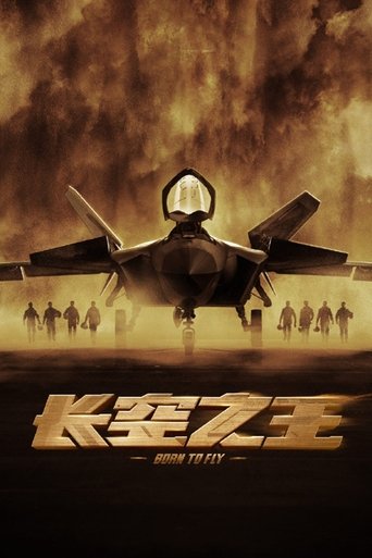 长空之王海报