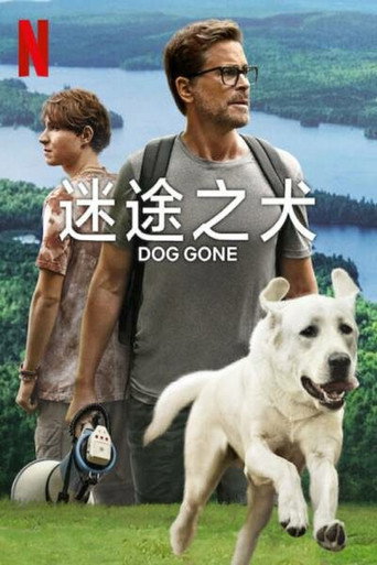 迷途之犬海报