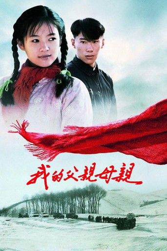 我的父亲母亲海报
