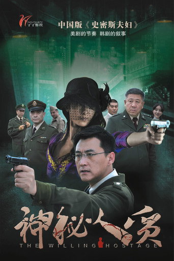 神秘人质海报