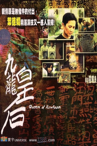 九龙皇后海报