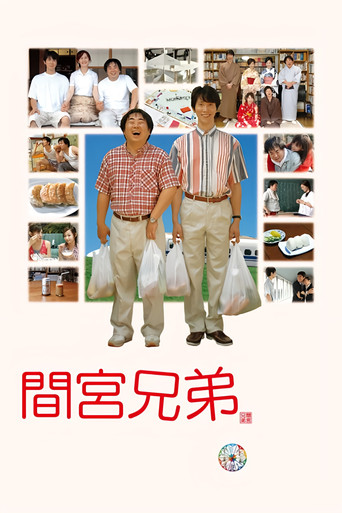 间宫兄弟海报