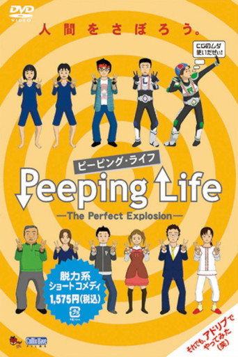 窥探人生 第 6 季海报