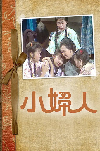 小妇人海报