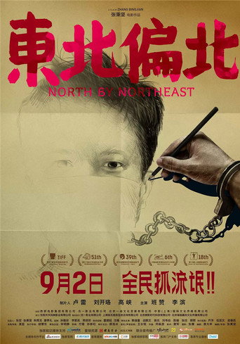 东北偏北海报