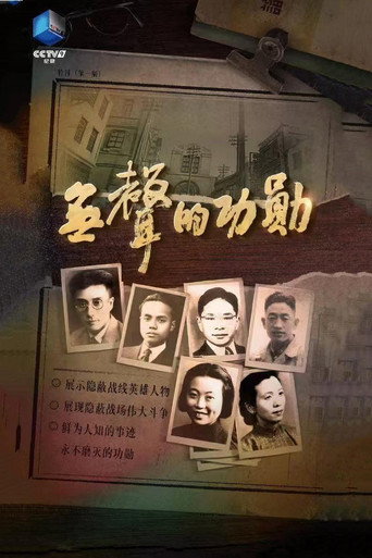 无声的功勋海报