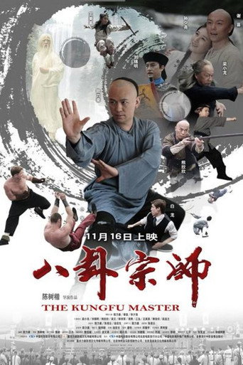 八卦宗师海报