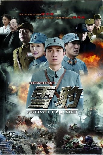 雪豹海报