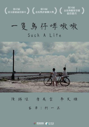 一只鸟仔哮啾啾海报