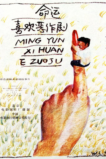 命运喜欢恶作剧海报