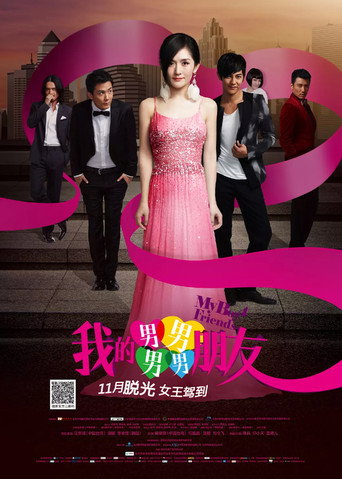 我的男男男男朋友海报