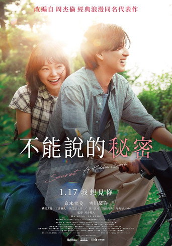 不能说的秘密海报