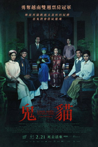 灵猫:鬼入床海报