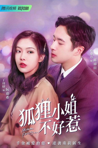 狐狸小姐不好惹海报