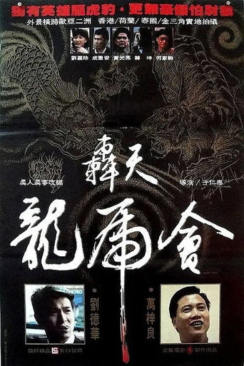 轰天龙虎会海报
